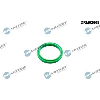Těsnění motoru Těsnicí kroužek, hadice plnicího vzduchu Dr.Motor Automotive DRM02668