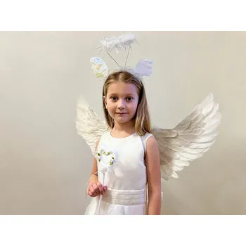 Karnevalový kostým Stoklasa Karnevalová sada - anděl, péřová křídla