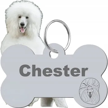psí známka Adresář, identifikační známka kost ve tvaru kosti Mejk Jewellery stříbrná