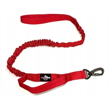 Vodítko pro psa Vodítko klasické EazyPet popruh 1,6 m