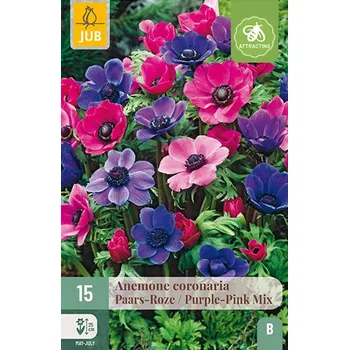 Zahradní sestava Sasanka PURPLE-PINK MIX (15 cibulí)