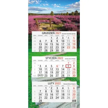 Kalendář Kalendarz 2019 trójdzielny Wrzos (PL)