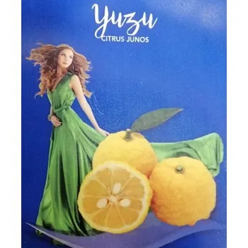 Sazenice Citrón Lemon YUZU - junos - RARITA