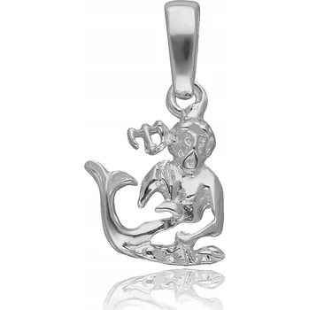 Přívěsek VODNÁŘ ZNAMENÍ ZVĚROKRUHU STŘÍBRNÝ PŘÍVĚSEK DÁMSKÝ PÁNSKÝ