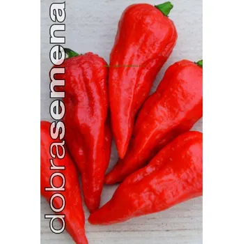 Koření NAGA MORICH - 10 ks