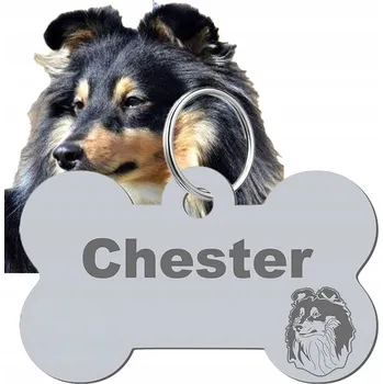 psí známka Adresář, identifikační známka kost ve tvaru kosti Mejk Jewellery stříbrná