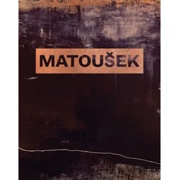 Umění Martin Matoušek. Průhledy. Glimpses - Karel Srp