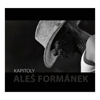 Umění Kapitoly - Aleš Formánek