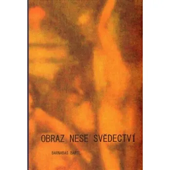 Umění Obraz nese svědectví - Barnabáš Bartl