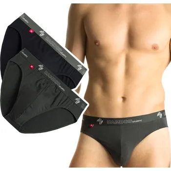 Slipy SLIPY pánské Atlantic 2MP-1565 slipy BAMBUSOVÉ 2-BALENÍ - M