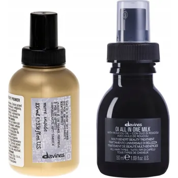 Stylingový přípravek Davines Blow Dry Primer Sprej pro Objem a Zkrácení Doby Fénování 100 ml