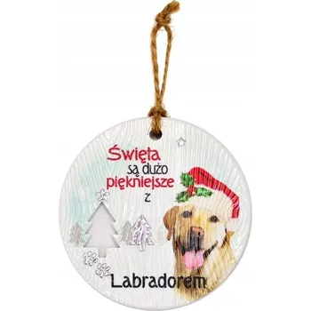 Přívěsek Keramický přívěsek CEZ-020 BN (Labradorit světlý)