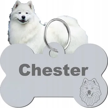 psí známka Adresář, identifikační známka kost ve tvaru kosti Mejk Jewellery stříbrná