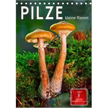 Diář Pilze - kleine Riesen (Tischkalender 2026 DIN A5 hoch), CALVENDO Monatskalender (DE)