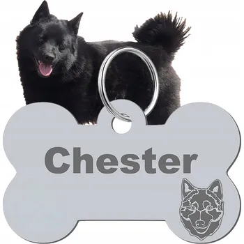 psí známka Adresář, identifikační známka kost ve tvaru kosti Mejk Jewellery stříbrná