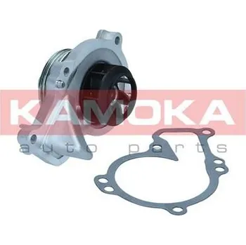 Motor automobilu Vodní čerpadlo, chlazení motoru KAMOKA T0295
