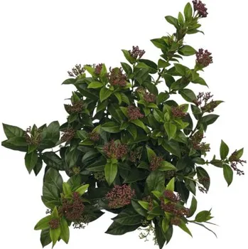 Sazenice Kalina modroplodá FloraSelf Viburnum tinus květináč 2 l