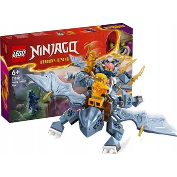 Stavebnice LEGO LEGO Ninjago Drak Riyu 71810
