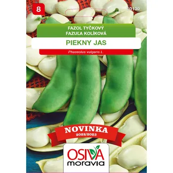 Semeno Osiva Moravia Fazol tyčkový piekny jas 10 ks