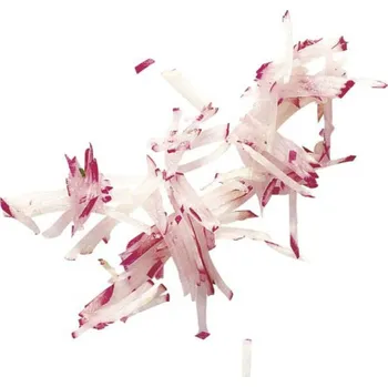 Krájecí kotouč Robot Coupe|-|Model#-#CL 50, CL 52, CL 55, CL 60, R 502, R 652|-|Typ#-#Nudličkovač NUDLIČKOVAČ 3X3 MM (J 3X3 J 1/8"X1/8"), Robot Coupe, 28101W Robot Coupe nudličkovač