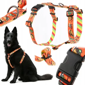 Postroj pro psa Postroj pro psa guard, beztlakový, barevný, border kolie, boxer, husky HUGGY DOGGY L