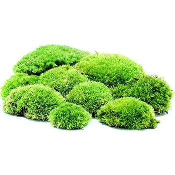 Gardners Mech kopečkový čerstvý - rozměr 18x25 cm