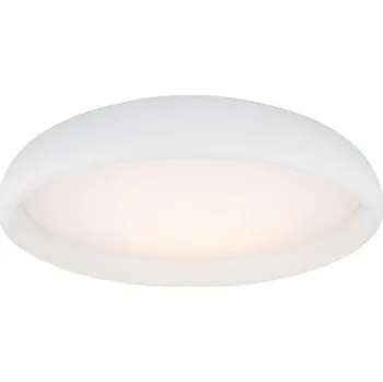 Stropní světlo Prezent 45137 - LED Stropní svítidlo TARI 1xLED/22W/230V