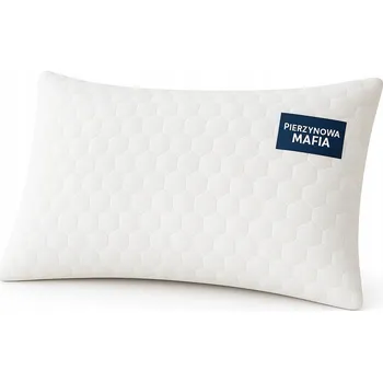 Polštář Ortopedický polštář Strefa Spania 60 x 40 cm