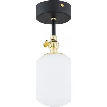 Nástěnné svítidlo Stropní Svítidlo kulatý Argon 12 x 120 cm černý