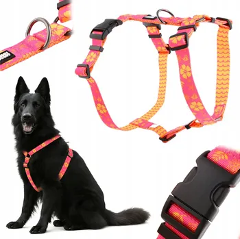 Postroj pro psa Postroj pro psa guard, beztlakový, barevný, border kolie, husky, boxer HUGGY DOGGY L