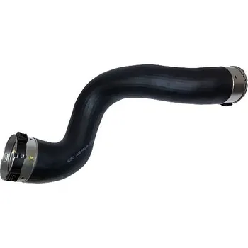 Turbodmychadlo Hadice plnícího vzduchu BUGIAD 81782