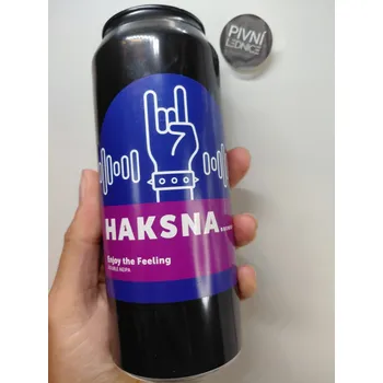 Pivo Haksna Enjoy the Feeling 18°/7,8% 0,5l