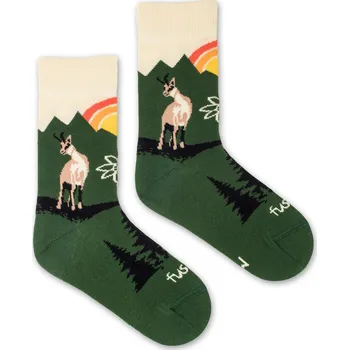 Dámské oblečení Dětské ponožky Kamzík tatranský S (23-26)
