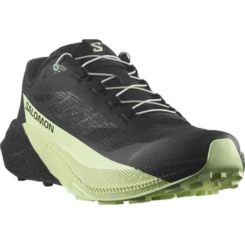 Pánská běžecká obuv Salomon Pulsar M L47887800 - black/black patina green 45 1/3
