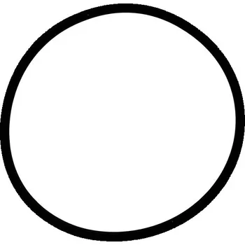 Motor automobilu Okroužek termostatu Iveco Daily