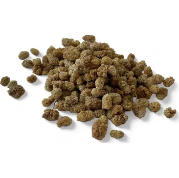 Sušené ovoce Moruše bílá sušená 100g