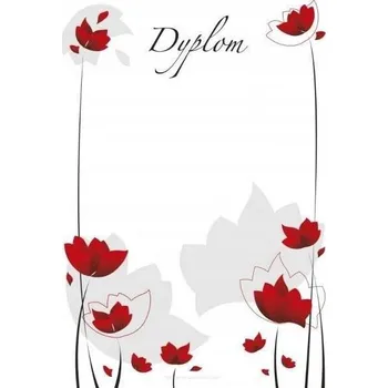 Barevný papír Ozdobný papír A4 Beniamin 200 g/m2 20 listů