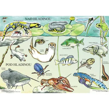 Doplněk pro dětské hřiště POD a NAD HLADINOU MAX - skládačka 24 koleček s magnetem