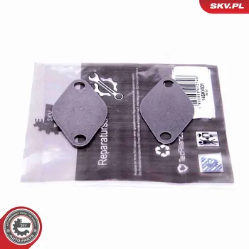 Autodílna Sada na opravu, ventil AGR SKV 14SKV531