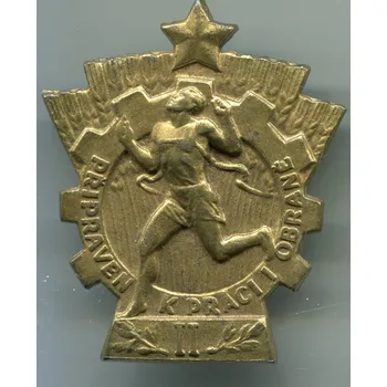 Odznak Připraven k práci a obraně. II.