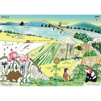 Doplněk pro dětské hřiště POLE MAX - skládačka 24 koleček s magnetem