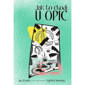 Příroda Jak to chodí u opic