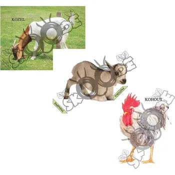 Výuková hračka PASTVINA 32 PVC fotografií B5 s magnetem