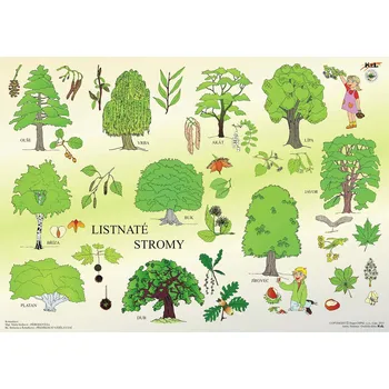 Výuková hračka Cesta k poznání LISTNATÉ STROMY 98 x 70 MAGNET