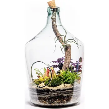 Váza Gardners Skleněné terárium demižon otevřený z recyklovaného skla, 10l - osázené vlhkomilně