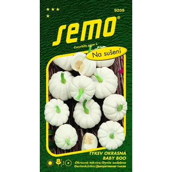 SEMO Tykev okrasná 'Baby Boo' 1 g