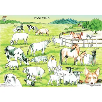 Doplněk pro dětské hřiště PASTVINA MAX - skládačka 24 koleček s magnetem