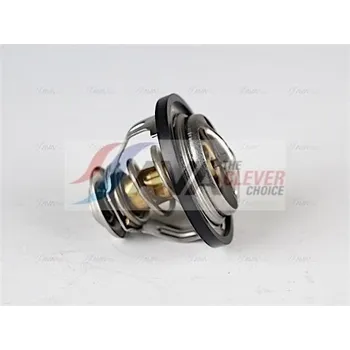 Těsnění motoru Termostat, chladivo AVA CNTS006