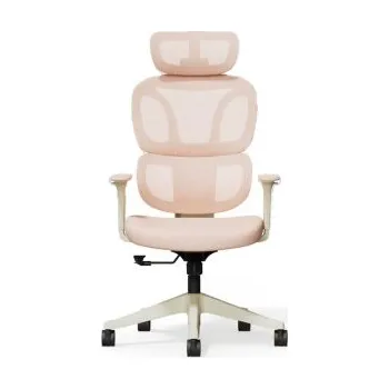 Ergonomická kancelářská židle BS5P-PRO, růžová - B FLEXISPOT