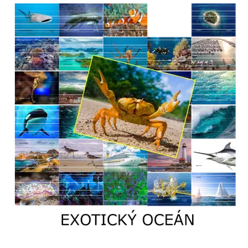 Doplněk pro dětské hřiště OCEÁN PVC 32 B5 s magnetem